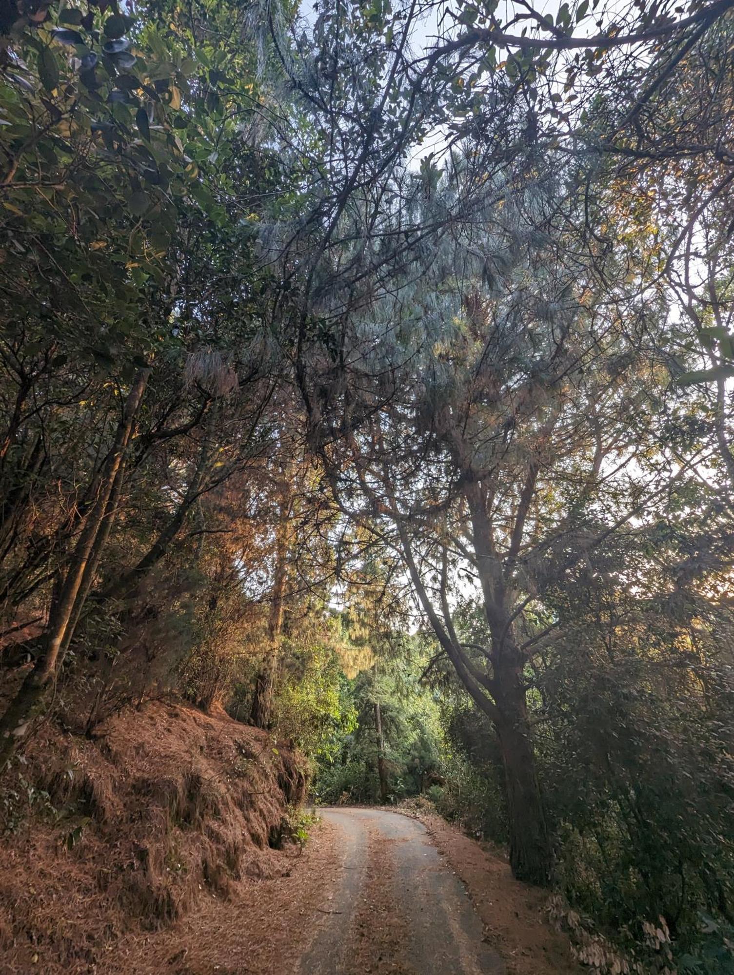 Ghar Homestay, Котажирі Екстер'єр фото